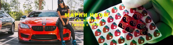 кокс Нея