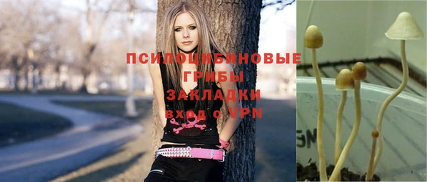 МДМА Новодвинск