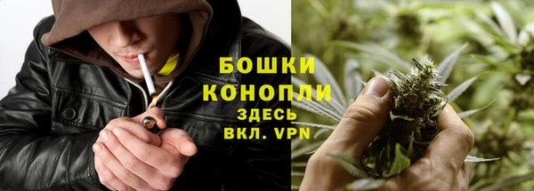 кокс Нея