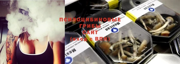 винт Болотное