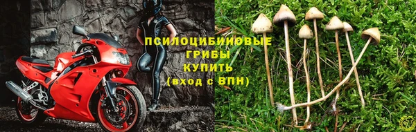 кокс Нея