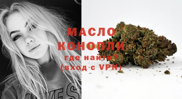 скорость Новозыбков