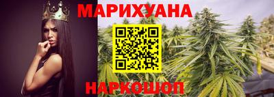 мяу мяу мука Гатчина