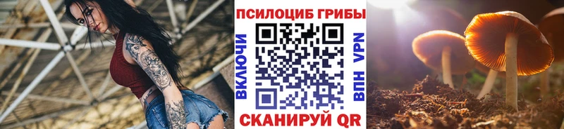 Галлюциногенные грибы Psilocybine cubensis  где можно купить   Саров 