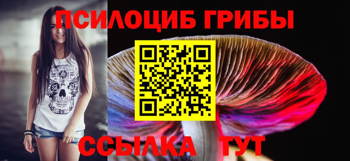 Галлюциногенные грибы GOLDEN TEACHER Саров